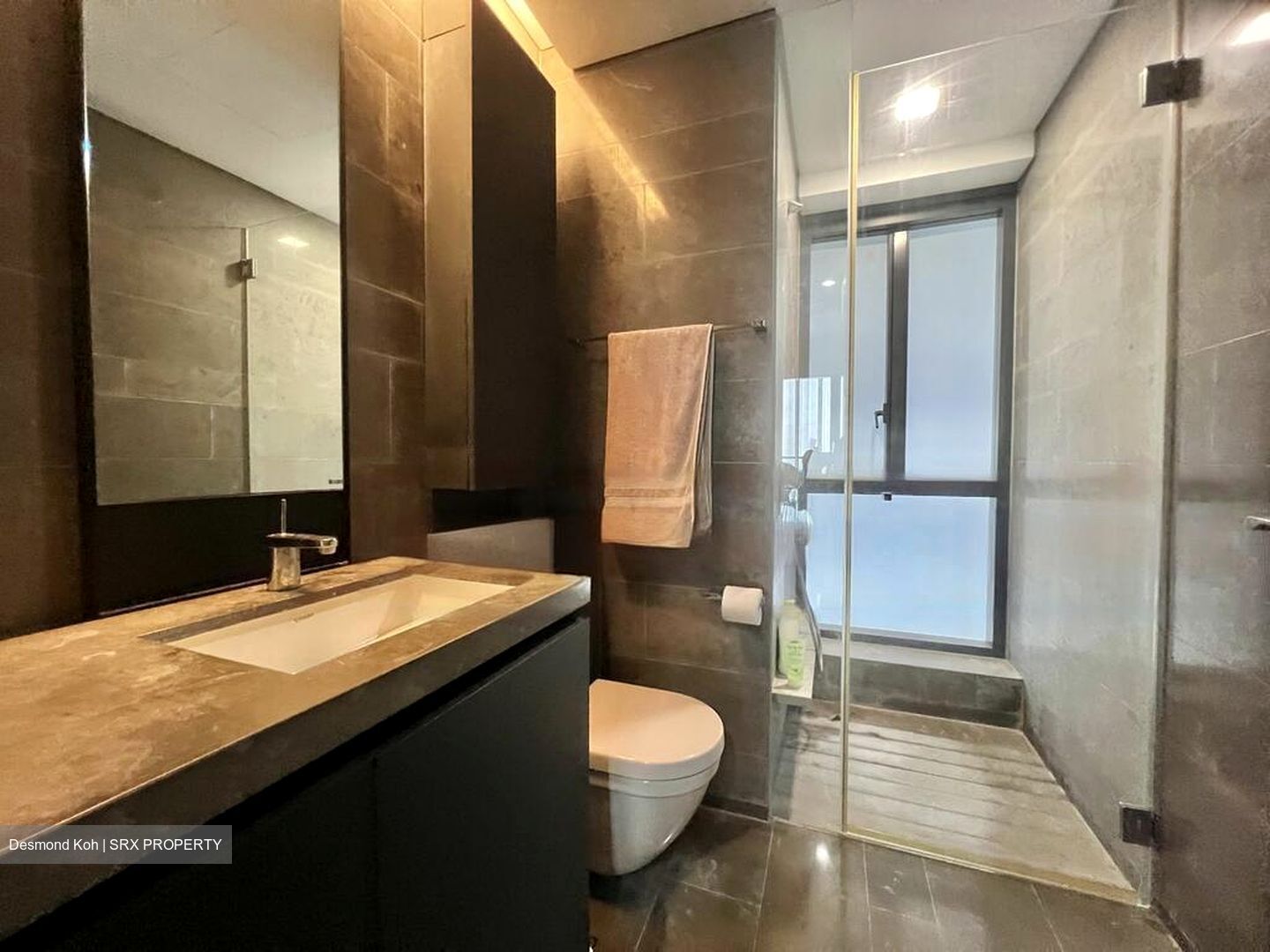 Skysuites@Anson (D2), Apartment #530721921
